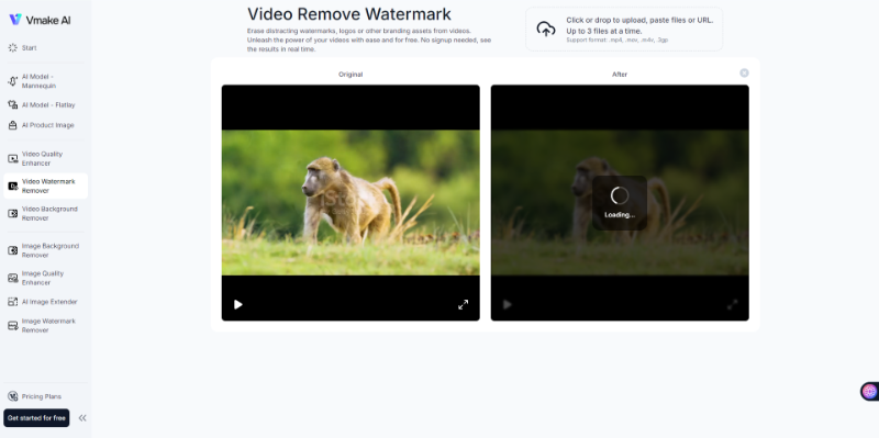 interface-video-watermark-remover