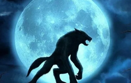 loup-garou.png