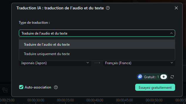 options-de-traduction-filmora