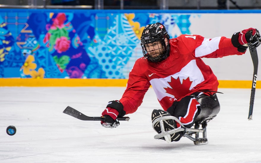 para-hockey-sur-glace.png