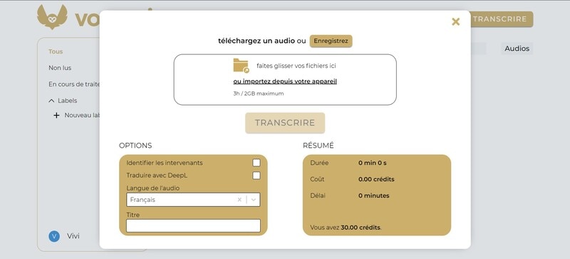 retranscription-audio-en-texte-vook.ia