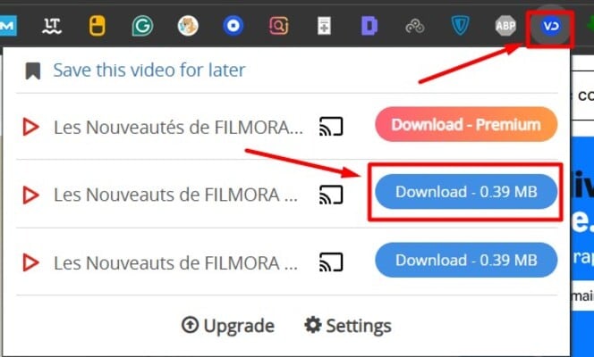 video-downloader-professionnal-enregistrer-vidéo