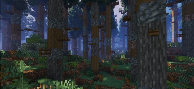 Foret-Noire-Ravins.png