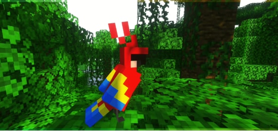 Jungle-aux-Perroquets.png