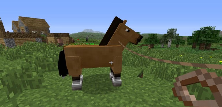 Plaine-Chevaux-Ferme.png
