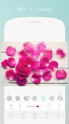 blur pixelate flouter photo