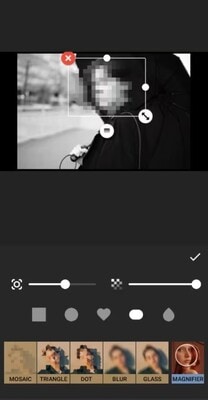 inshot flouter photo