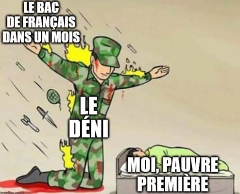 mème drôle bac français