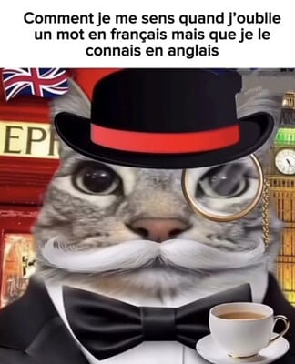 mème drôle français anglais