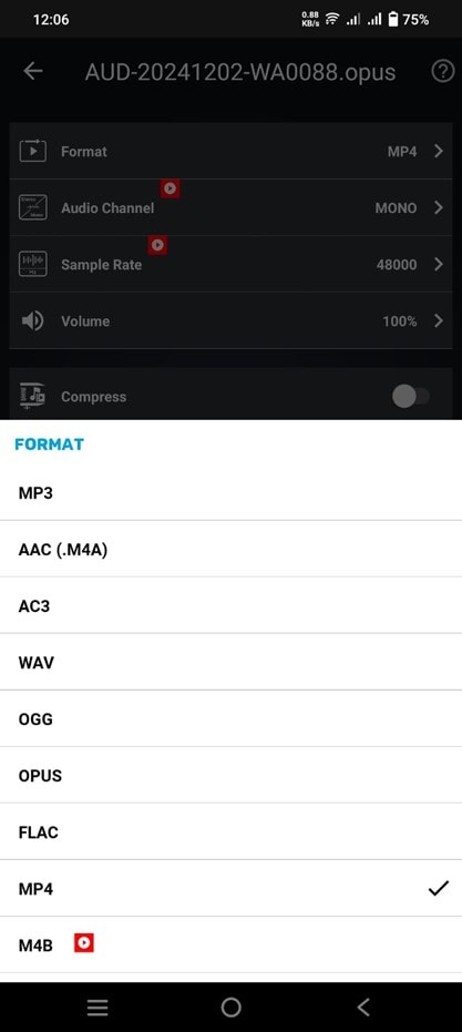 selectionner le format de sortie