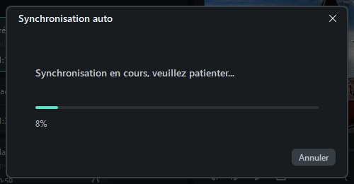 traitement-synchronisation-auto.png