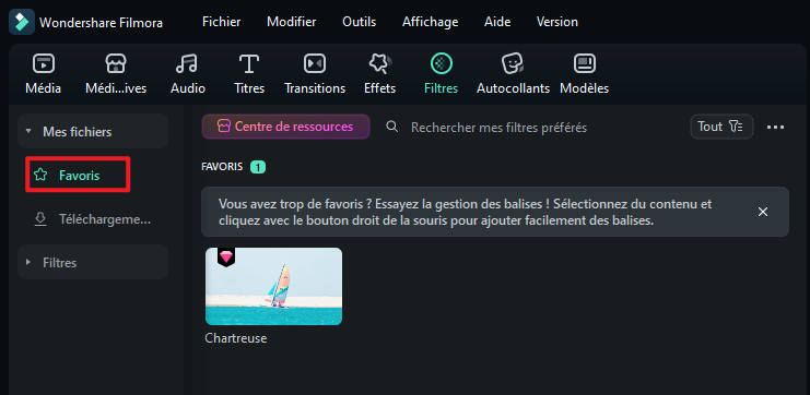 favoris-filtre.png