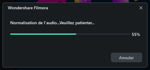 traitement-normalisation-auto.png