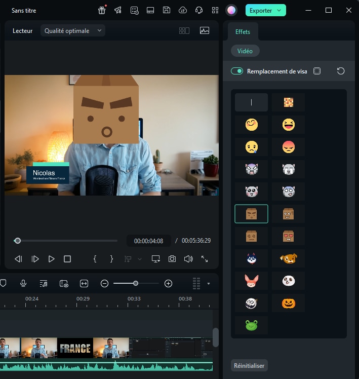types-remplacement-de-visage.png