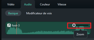 zoom-basique-audio.png