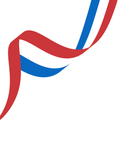 ribbon1