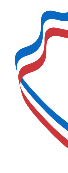 ribbon2