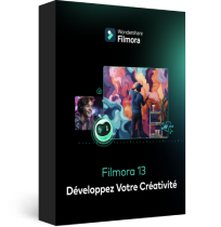 filmora box