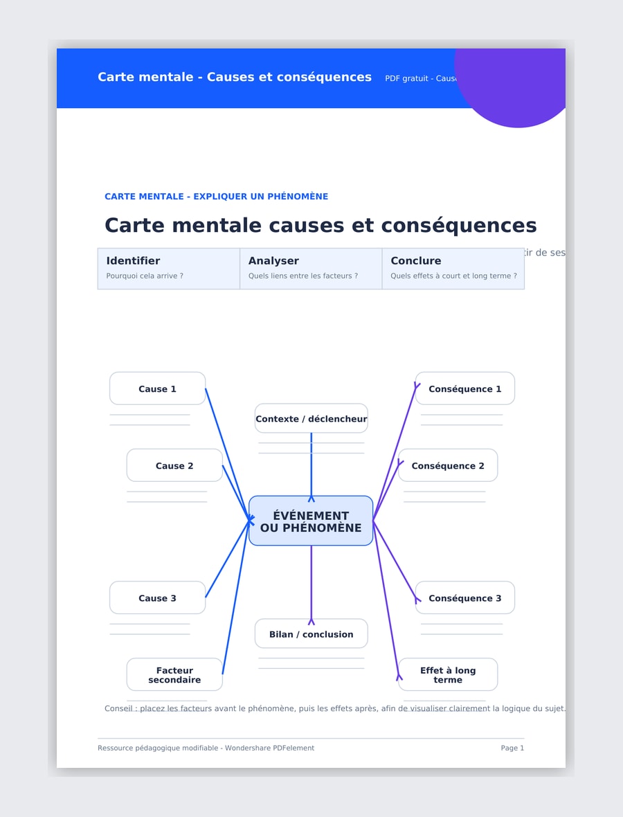 Carte mentale causes conséquences PDF