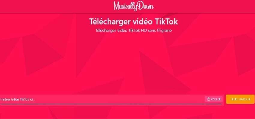 télécharger vidéo tiktok mp4