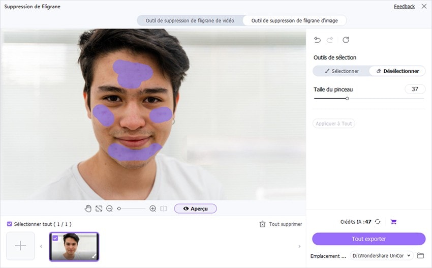 enlever les imperfections avec watermark remover